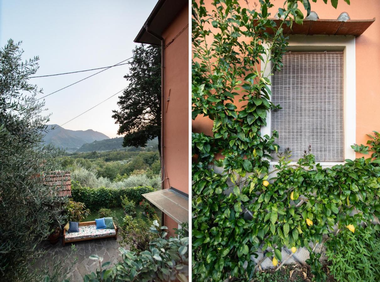 Casetta Di Butia, Mimosa Apartment Borgo a Mozzano Exteriér fotografie