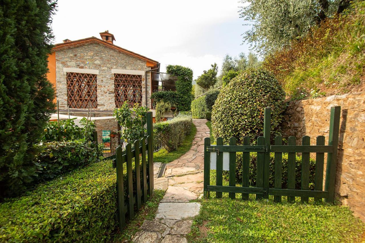Casetta Di Butia, Mimosa Apartment Borgo a Mozzano Exteriér fotografie