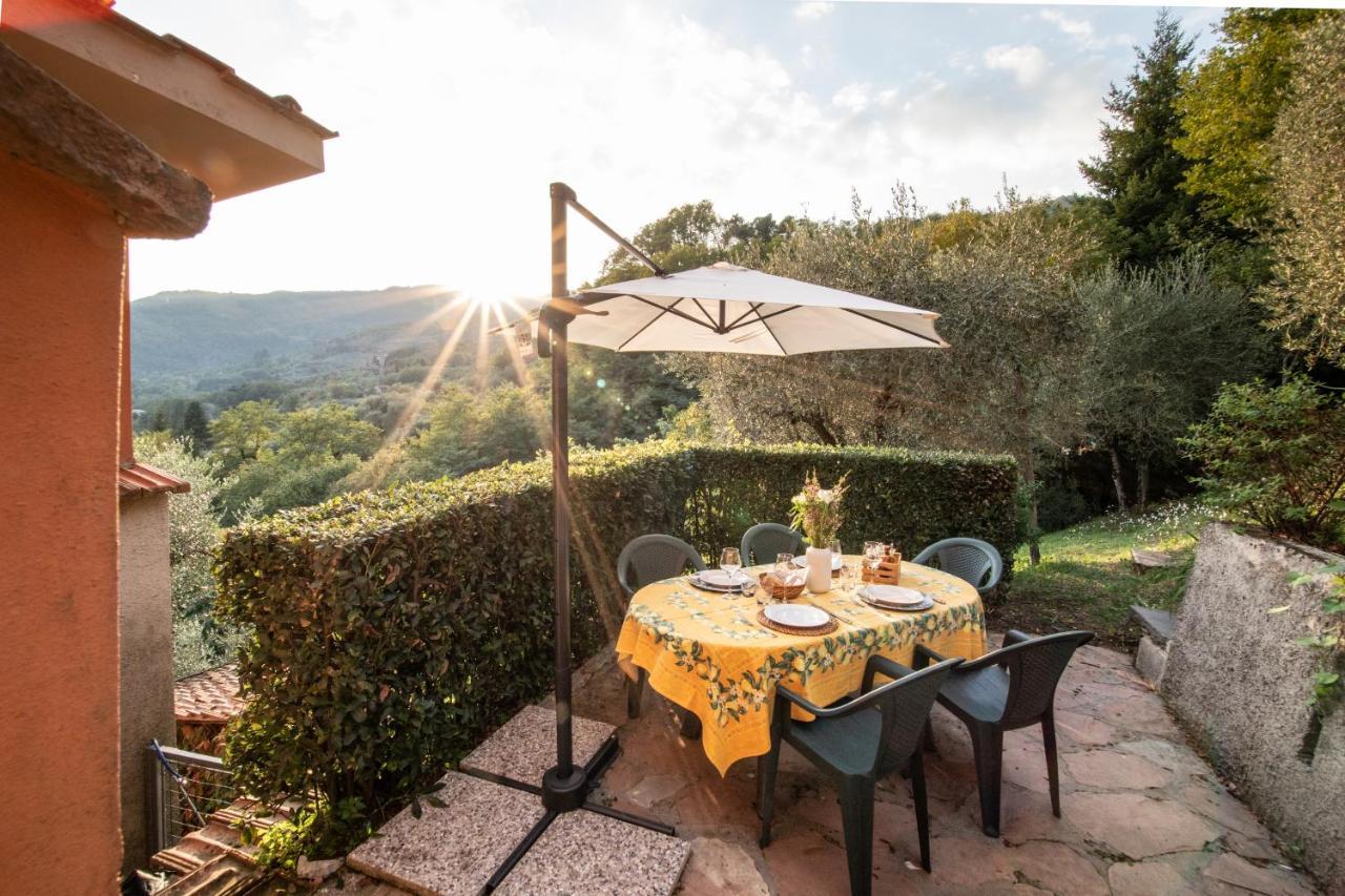 Casetta Di Butia, Mimosa Apartment Borgo a Mozzano Exteriér fotografie