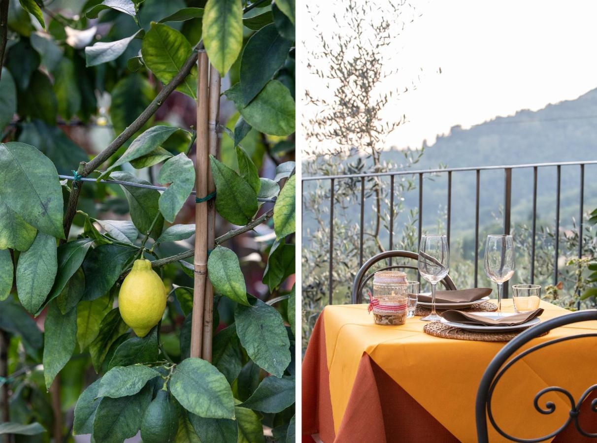 Casetta Di Butia, Mimosa Apartment Borgo a Mozzano Exteriér fotografie