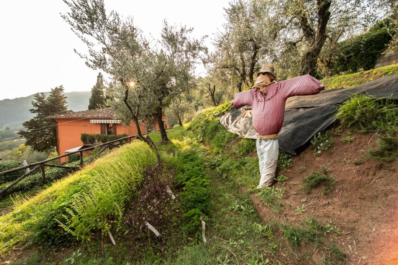 Casetta Di Butia, Mimosa Apartment Borgo a Mozzano Exteriér fotografie