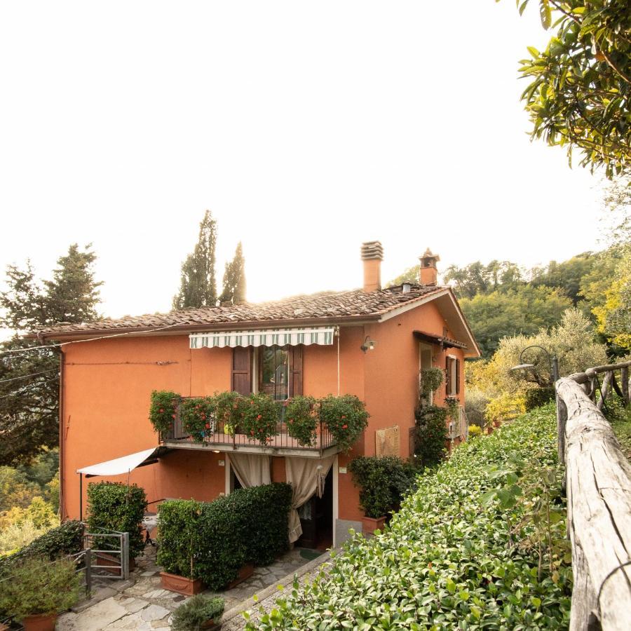 Casetta Di Butia, Mimosa Apartment Borgo a Mozzano Exteriér fotografie