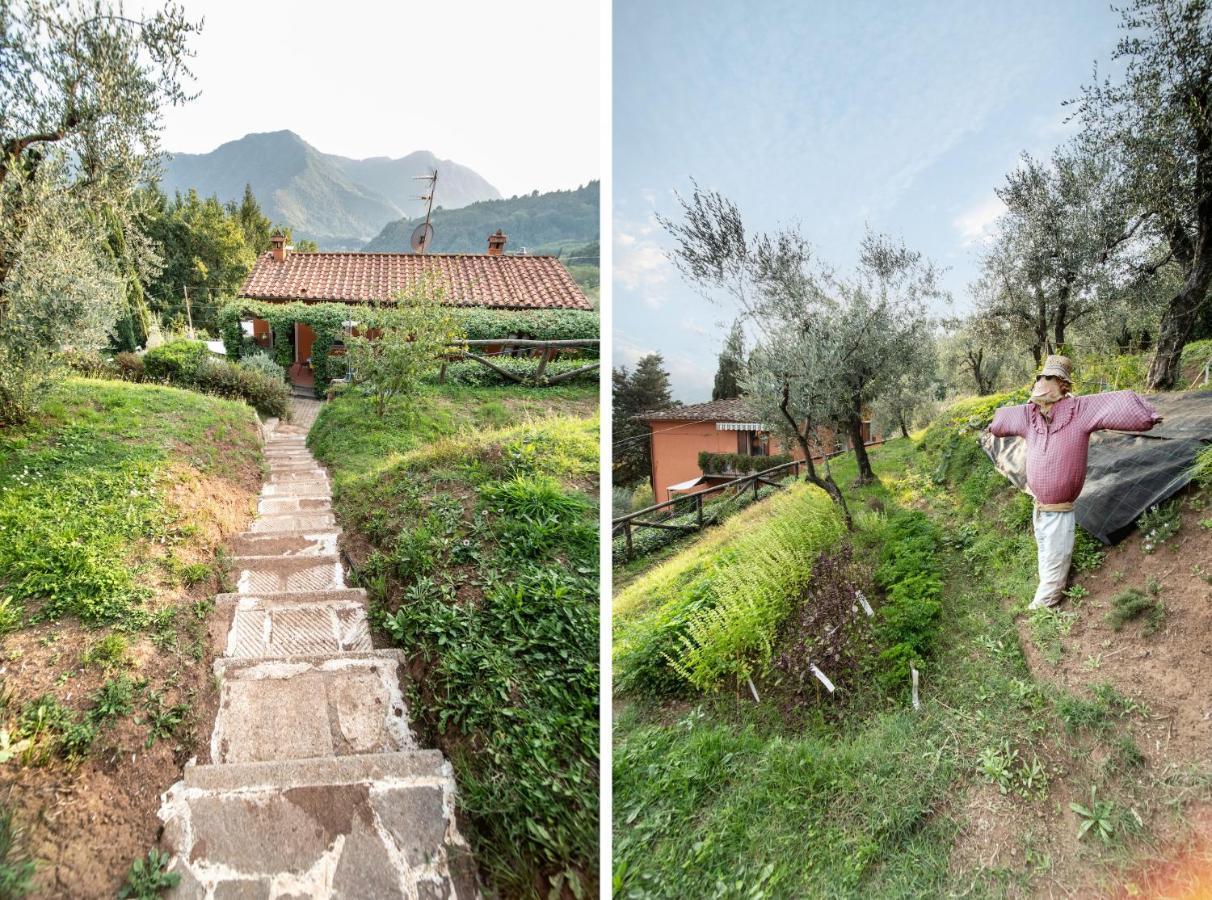 Casetta Di Butia, Mimosa Apartment Borgo a Mozzano Exteriér fotografie