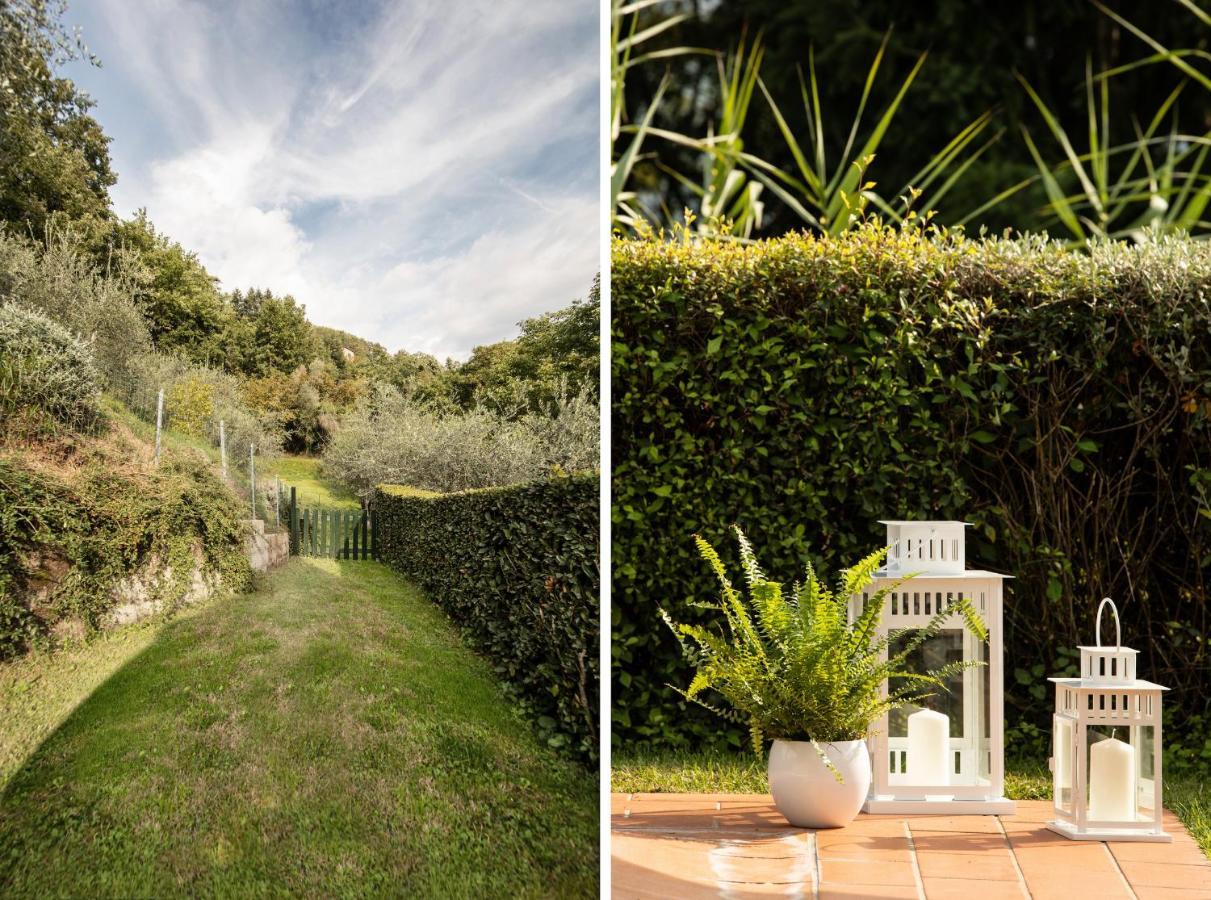 Casetta Di Butia, Mimosa Apartment Borgo a Mozzano Exteriér fotografie